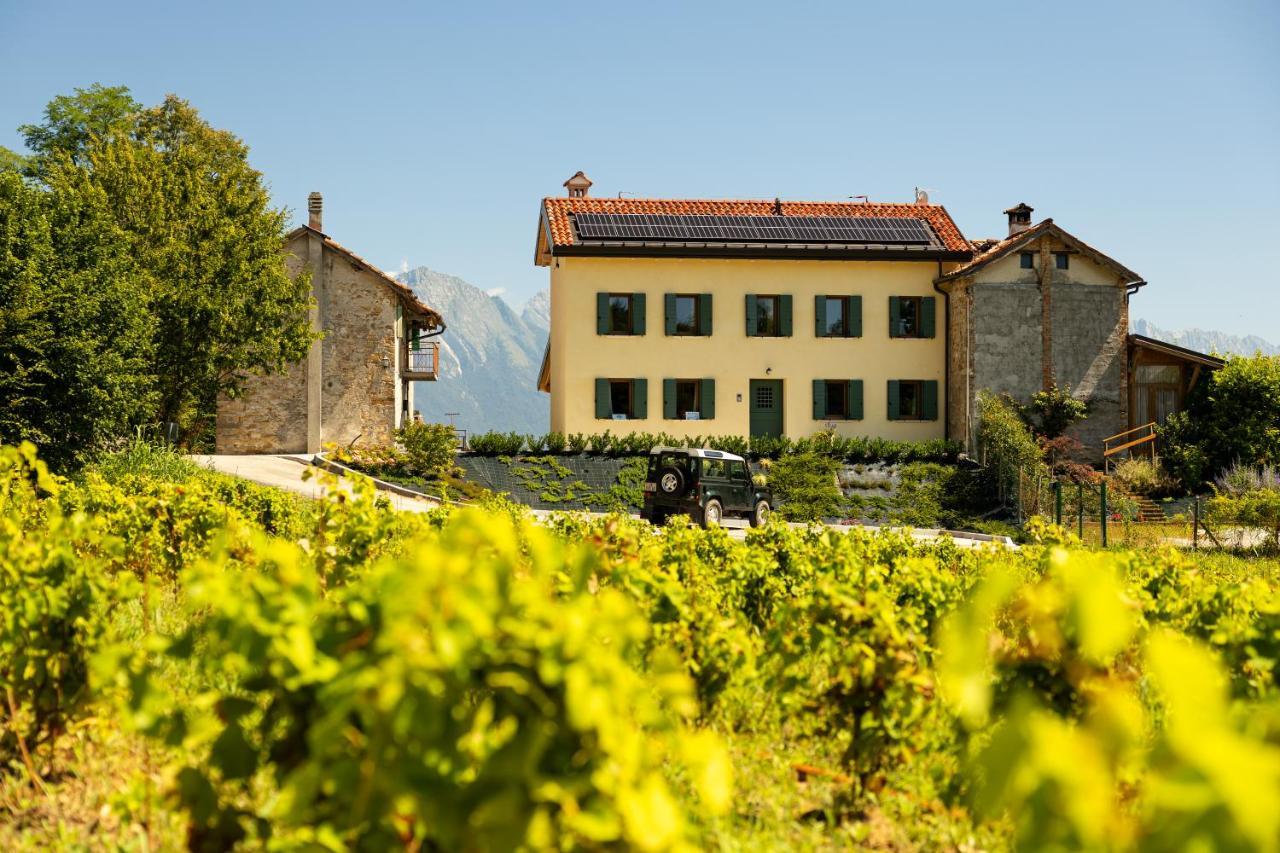 B&B Le Zucche Belluno Exterior photo